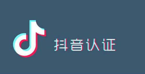 海南抖音快手认证招商代理 解锁短视频商业新引擎
